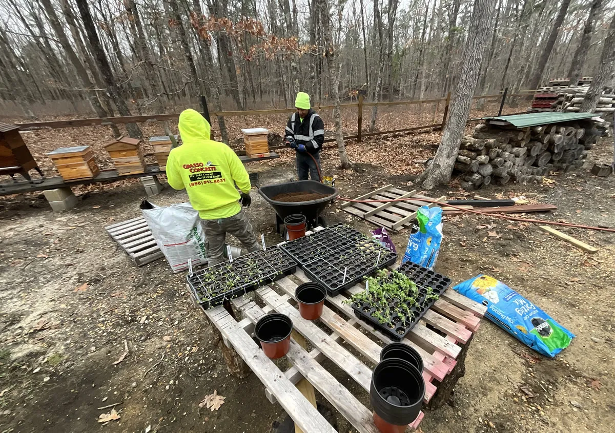 Volunteers starting native plant seedlings beside the beehives at the Grasso apiary