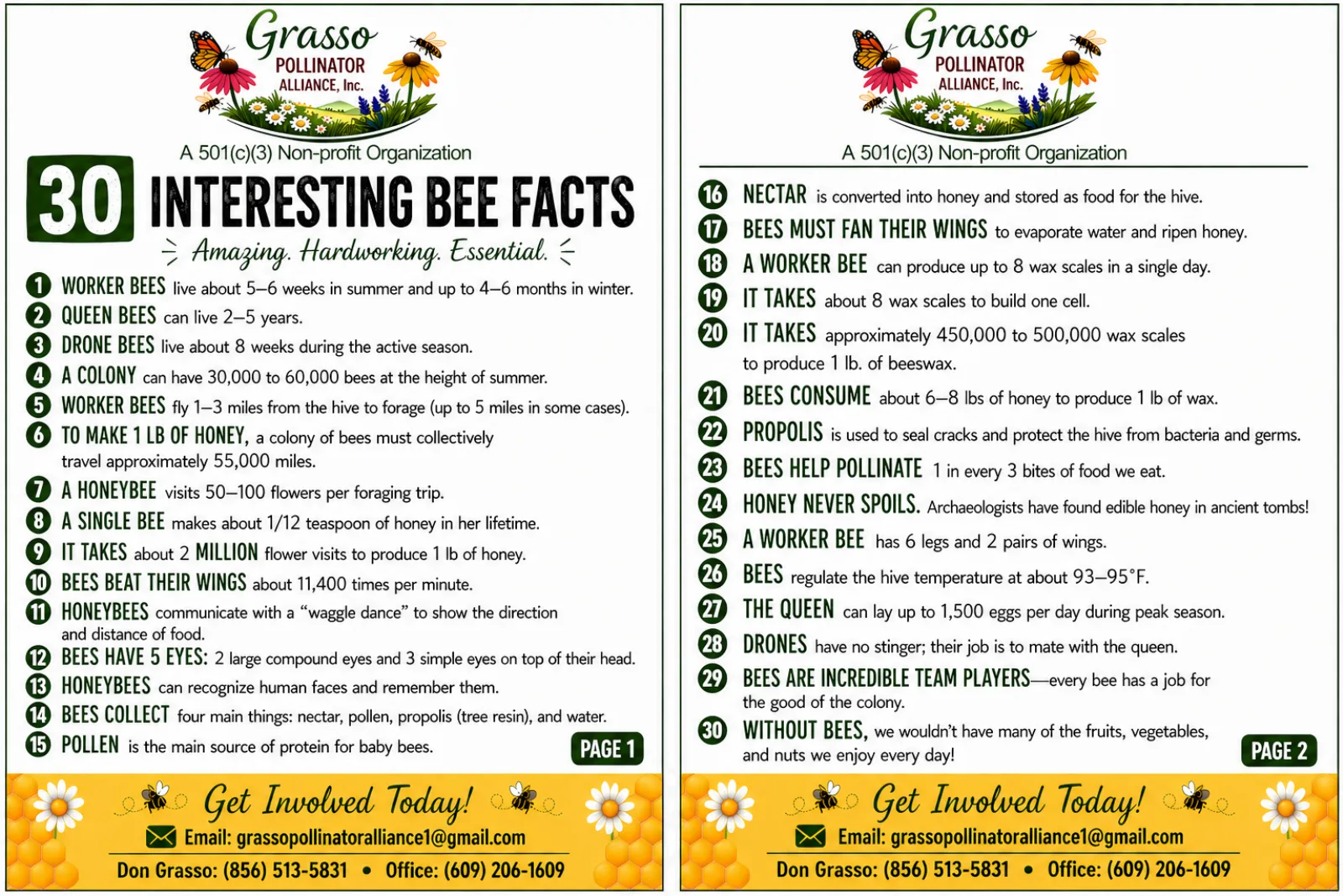 30 fun facts about bees