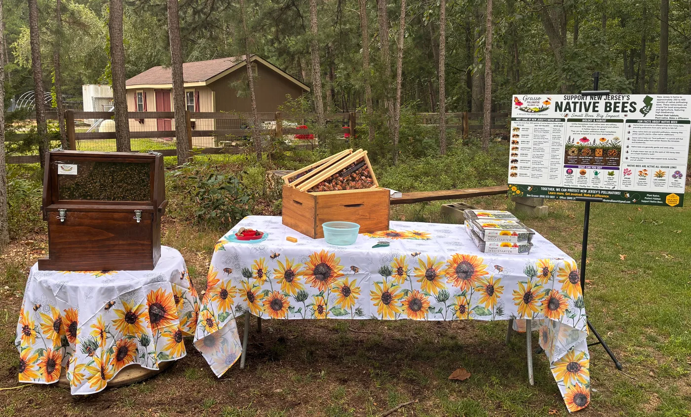 The Grasso Pollinator Alliance display table set up outdoors with a native bees banner, honey jars, and an observation hive