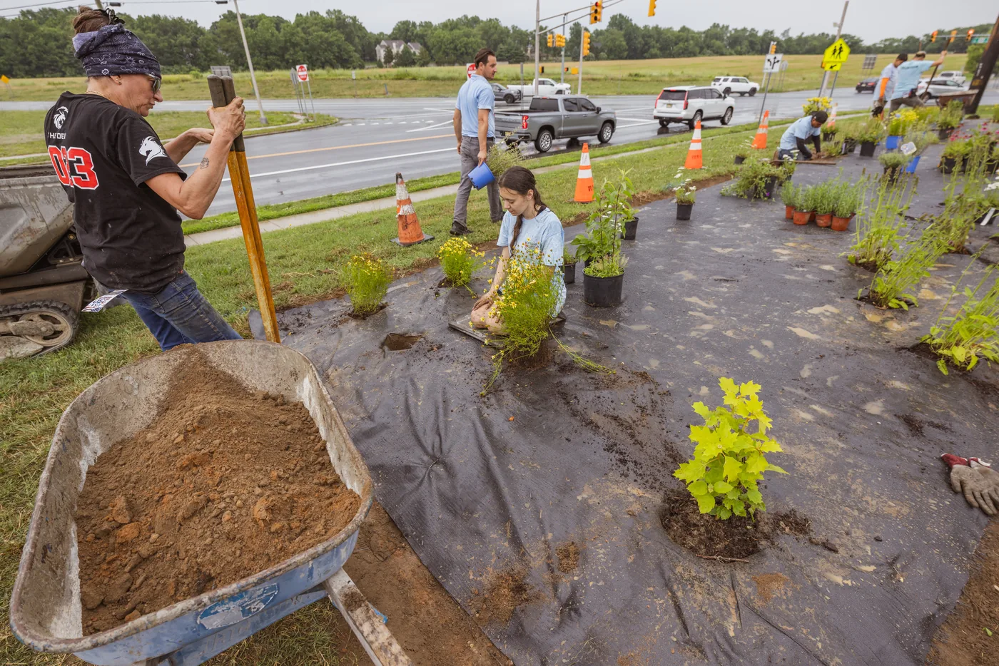 Volunteers planting native plants into the new pollinator bed at Kingsway