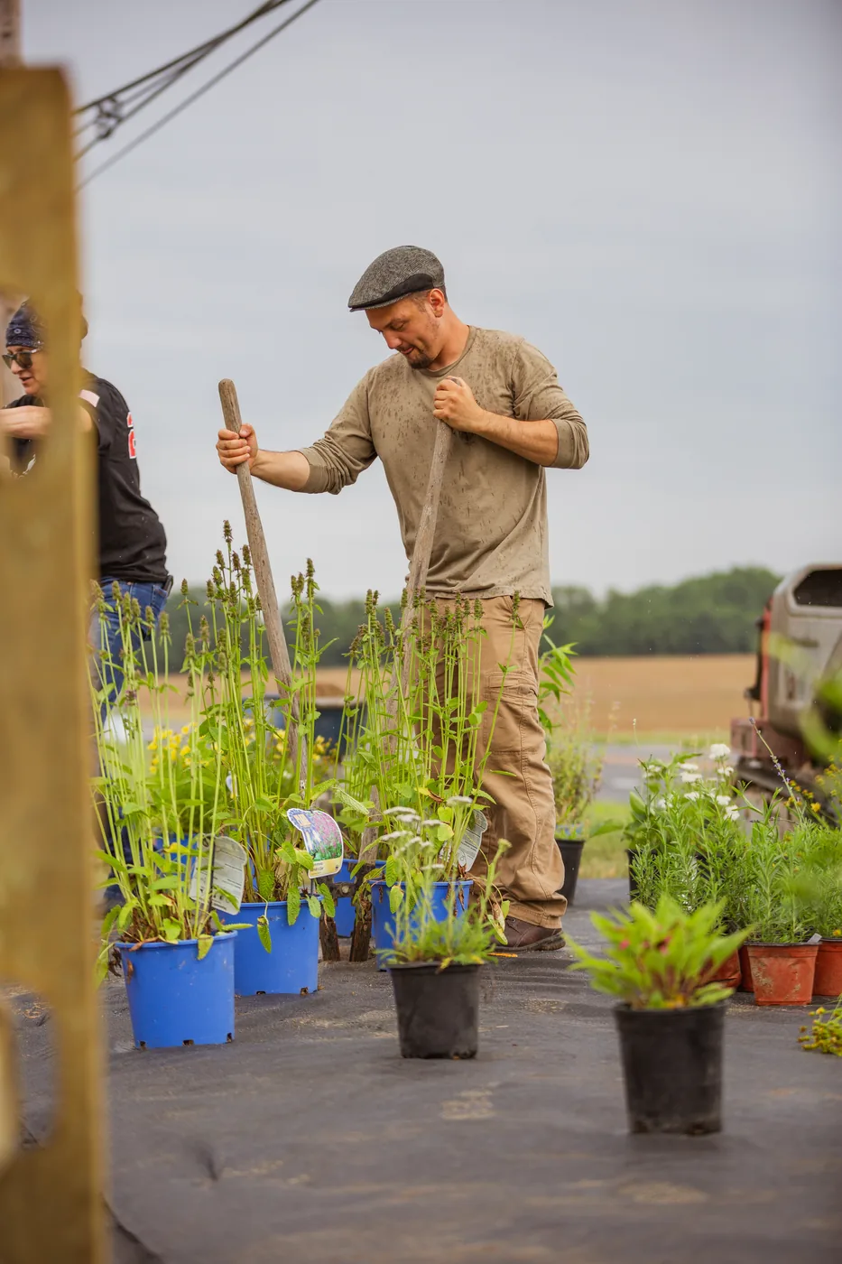 Founder Don Grasso working the native plant staging at the Kingsway install