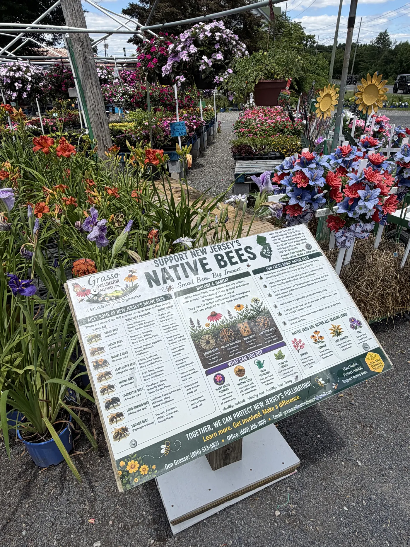 The Support New Jersey Native Bees educational sign installed at a local garden center