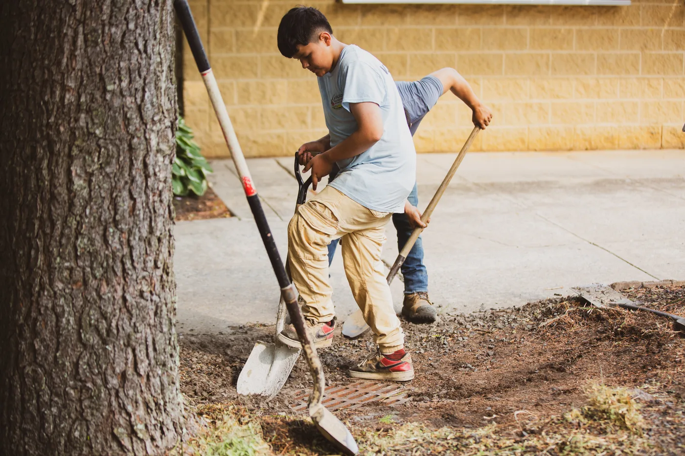 A young volunteer digging with a shovel in the shade of a large tree
