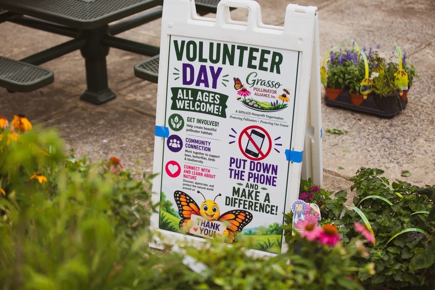 A Volunteer Day sign reading All Ages Welcome beside potted native plants at Washington Lake Park