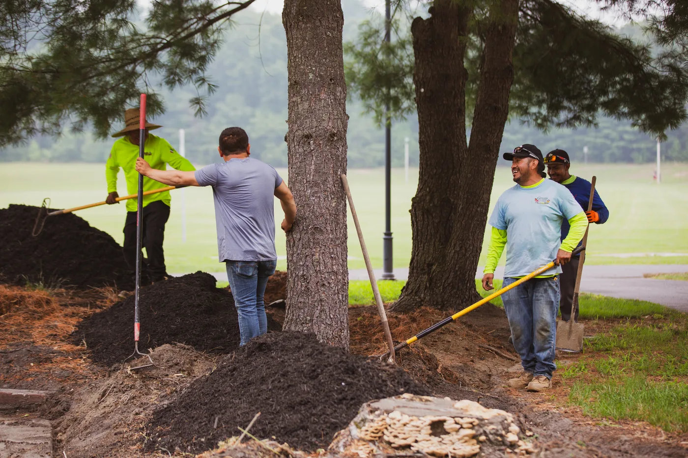 Volunteers with shovels working a mound of soil under the trees